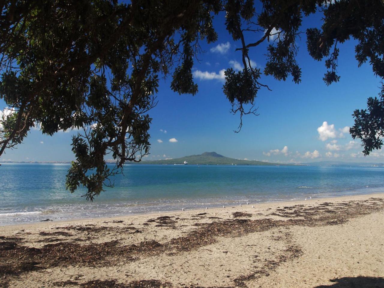Whitby Studio - Mairangi Bay Beach Auckland Eksteriør billede